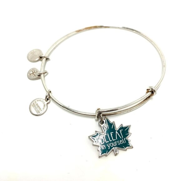 Alex and Ani Beleaf in Yourself Charm Bracelet Silver Finish - 2.0”-3.5” - Picture 1 of 3